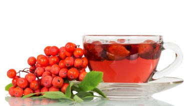 Üvez meyveleri ve çay ile yabani gül izole.