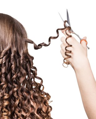 Master Hand holds  pair  scissors and lock  hair curled girl. clipart