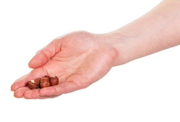 Female hand holding  peeled hazelnuts isolated on white background. — Stock Photo, Image