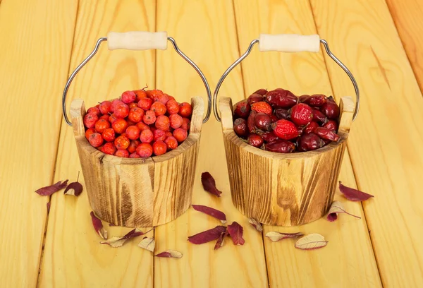 Secchi riempiti con bacche di rosa canina e sorbo su legno chiaro . — Foto Stock