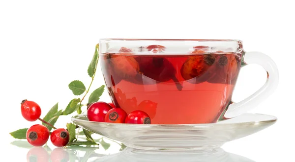 Tazza di tè da rosa canina isolato su sfondo bianco . — Foto Stock