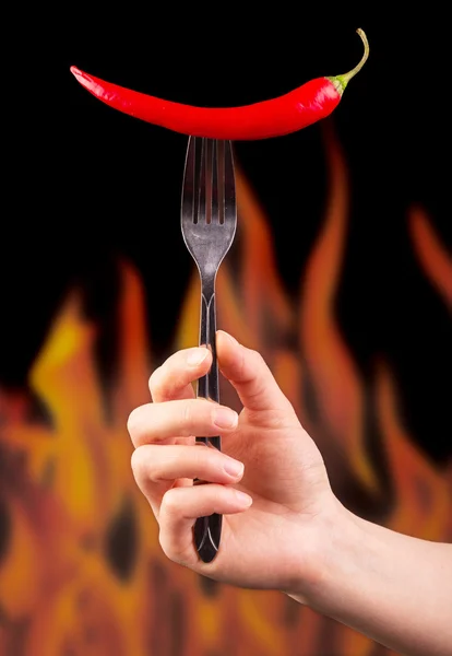Ręka trzyma widelec z papryka chili na tle płomienie. — Zdjęcie stockowe