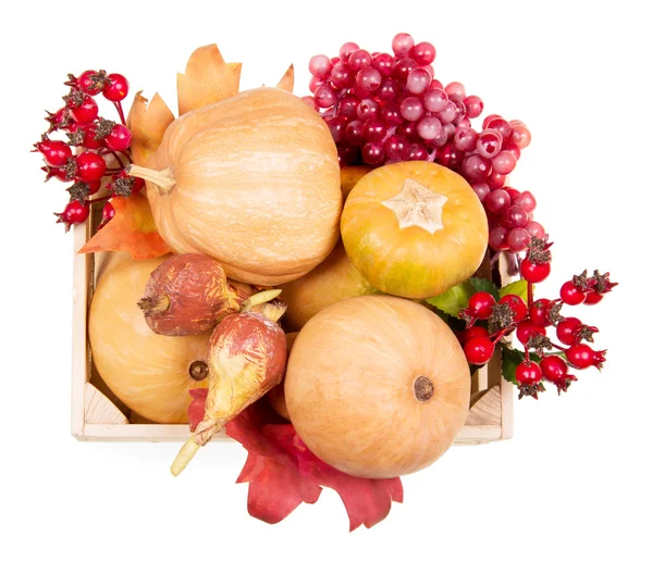 Rijpe pompoen en herfst bessen in houten doos op wit. — Stockfoto