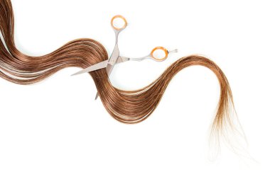 Hairdressing scissors with lock  brown hair isolated on white clipart