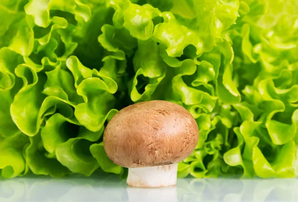 Fungo champignon e lattuga verde fresca . — Foto Stock