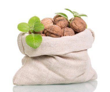 Bütün ceviz beyaz izole ile çanta.