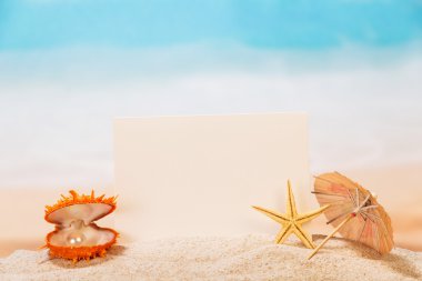 Boş beyaz kartı, inci ile tabut ve kum deniz yıldızı.