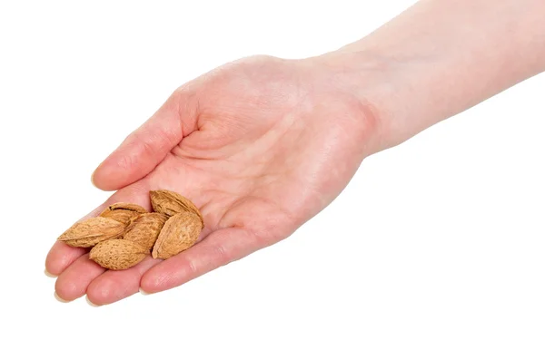 Almendras en mano femenina aisladas sobre fondo blanco . —  Fotos de Stock