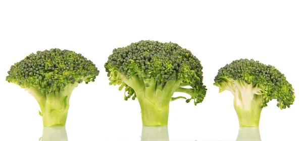 Beyaz arka plan üzerinde izole adet taze yeşil brokoli — Stok fotoğraf