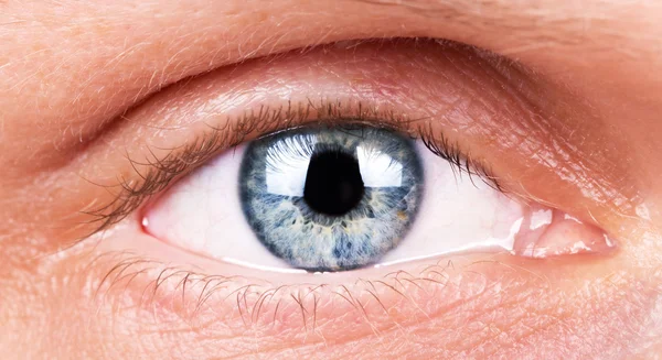 The human eye without makeup closeup. — Stock Photo, Image