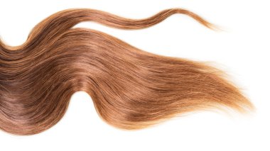 beyaz izole sağlıklı kumral.