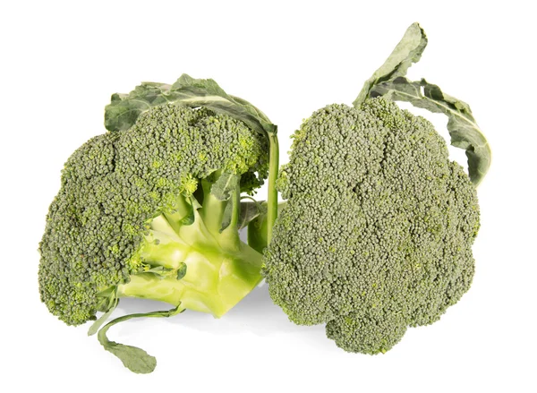 Beyaza izole edilmiş taze yeşil brokoli.. — Stok fotoğraf