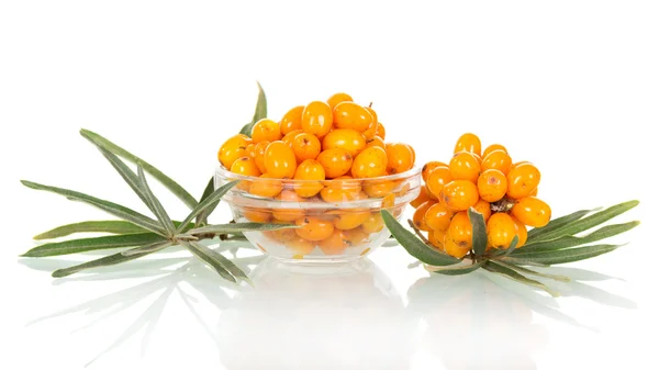 Kom verse bessen sea buckthorn, bos geïsoleerd op witte achtergrond. — Stockfoto