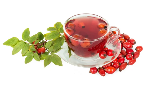 Rosehip berry, secangkir teh terisolasi pada latar belakang putih . — Stok Foto