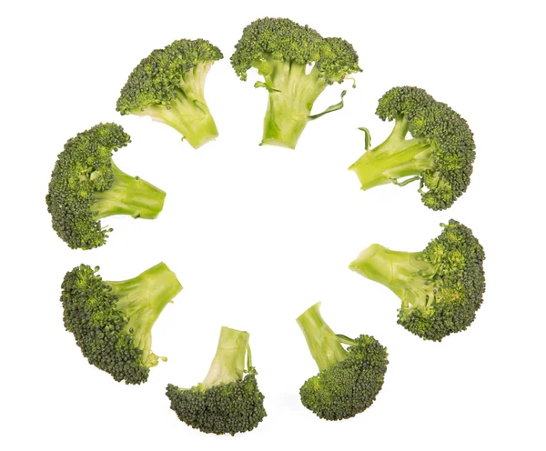 Beyaz izole bir dairede taze brokoli florets düzenlendiği. — Stok fotoğraf