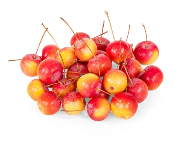 Small paradise apples close-up isolated on white. — Stock Photo, Image