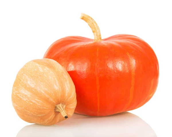 Two ripe pumpkins  various shapes and colors isolated on white. — Stock Photo, Image