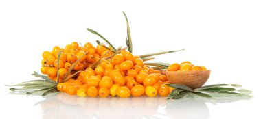 Çilek ve kaşık beyaz izole ile Lots deniz dikeni .