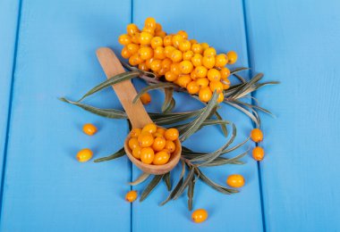 Grup deniz cehri çilek ahşap zemin üzerine mavi boyalı.