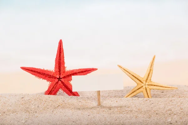 Cartelera blanca en blanco, estrellas de mar en la arena contra el mar . —  Fotos de Stock
