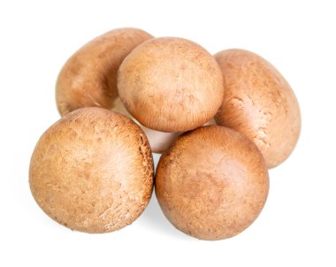 Beyaz izole kahverengi petrol mantar yakın çekim.