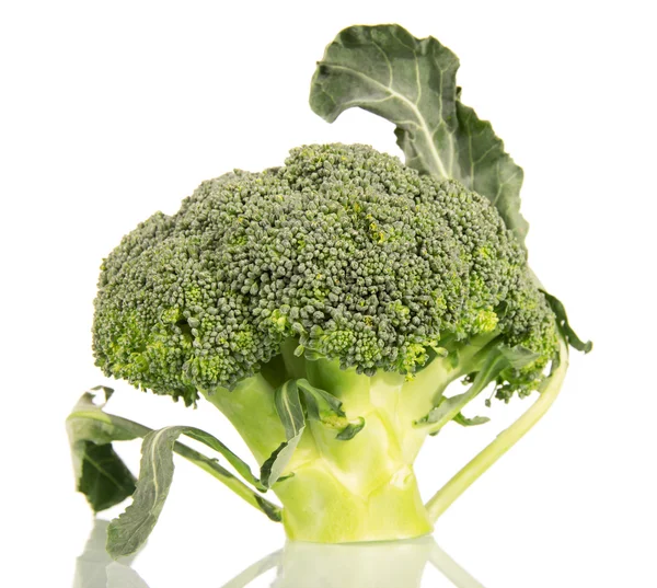 Färsk broccoli närbild isolerad på vit. — Stockfoto