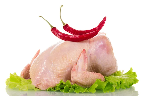 Pollo crudo entero, lechuga y pimientos picantes aislados en blanco . — Foto de Stock
