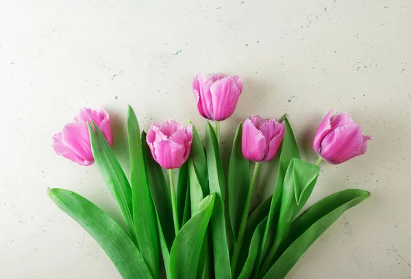 Bovenaanzicht Frisse Mooie Roze Tulpen Met Franje Lichte Ondergrond — Stockfoto