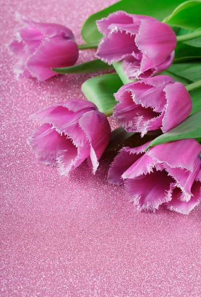 Красивые Махровые Тюльпаны Розовом Блестящем Фоне — стоковое фото