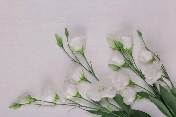 最上階だ 光の背景に白い絵文字の美しい花束 — ストック写真