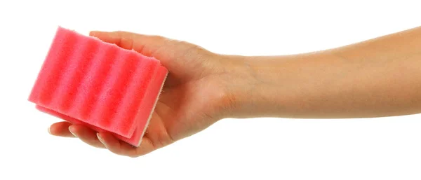 Pink Sponge Washing Dishes Cleaning Female Hand Isolated White Background — Stock Photo, Image