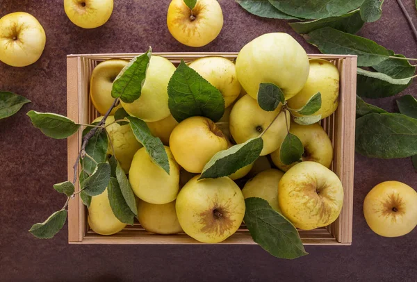 Sappige Appels Met Groene Takken Een Houten Doos Een Donkere Stockfoto