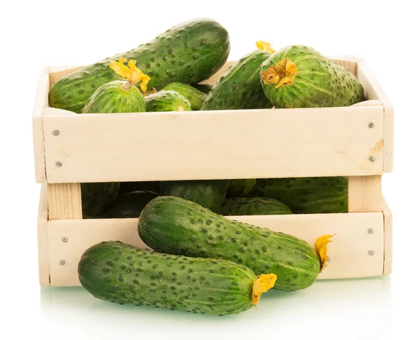 Box with cucumbers — Stock Photo, Image