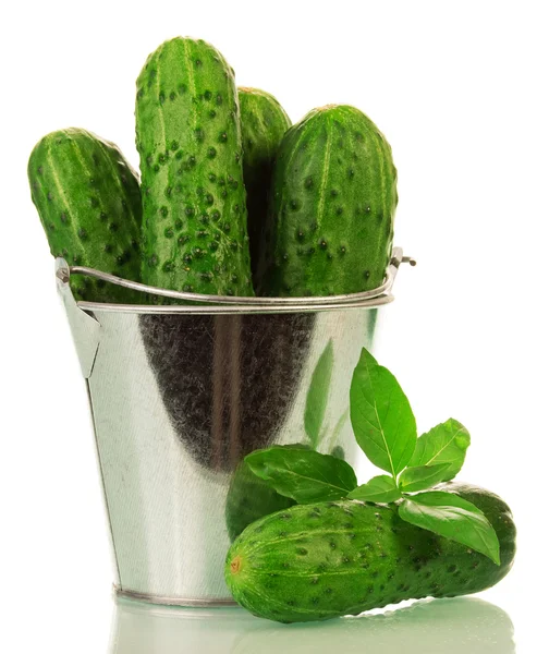 Cucumbers in bucket — Stock Photo, Image