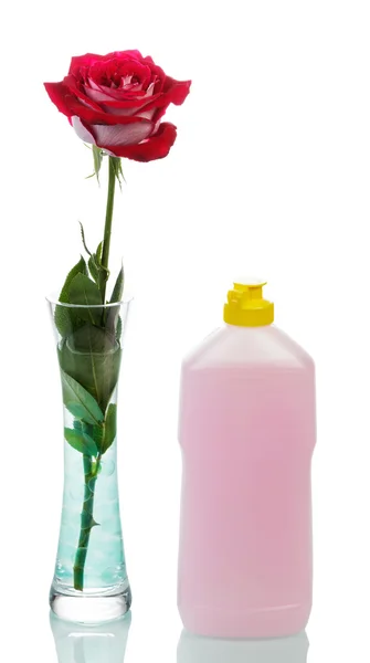 Cleaner and  rose — Stock Photo, Image