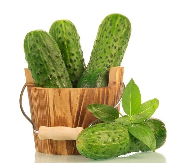 Bucket with cucumbers — Stock Photo, Image