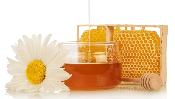 香甜蜂蜜 — 图库照片