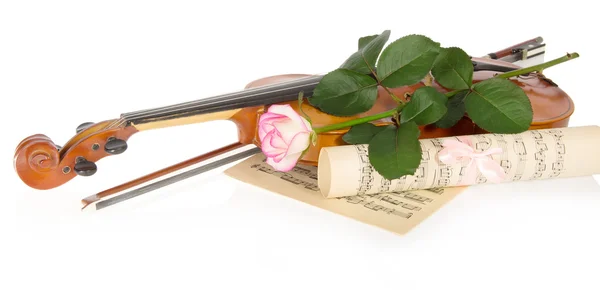 Violino e rosa — Fotografia de Stock