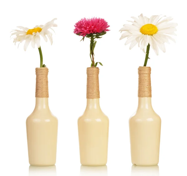 Three flowers in vases — Stock Photo, Image