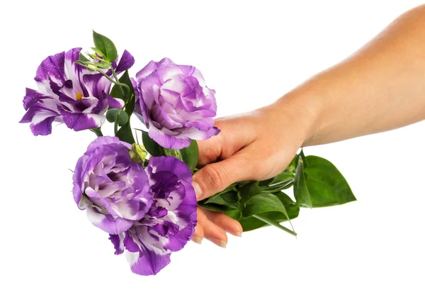 Paarse bloemen in de hand — Stockfoto