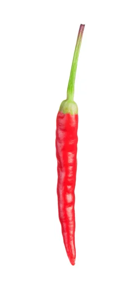 Pimiento rojo picante — Foto de Stock