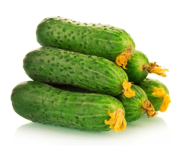 Fresh green cucumbers — Stock Photo, Image