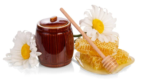 Panal de abeja con flor y cazo — Foto de Stock