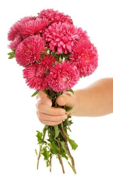 Rosa blommor i handen — Stockfoto