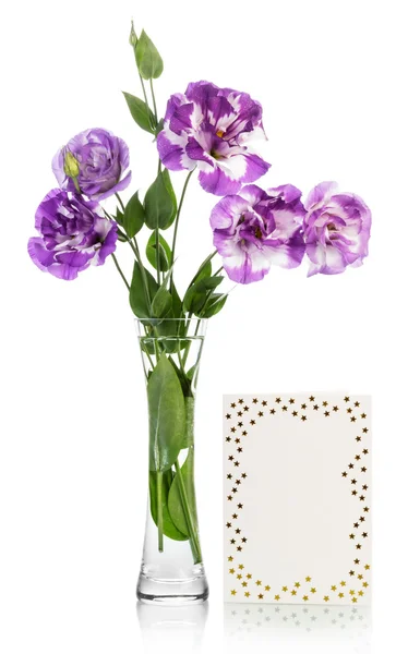 Greeting card with purple flowers — Stock Photo, Image