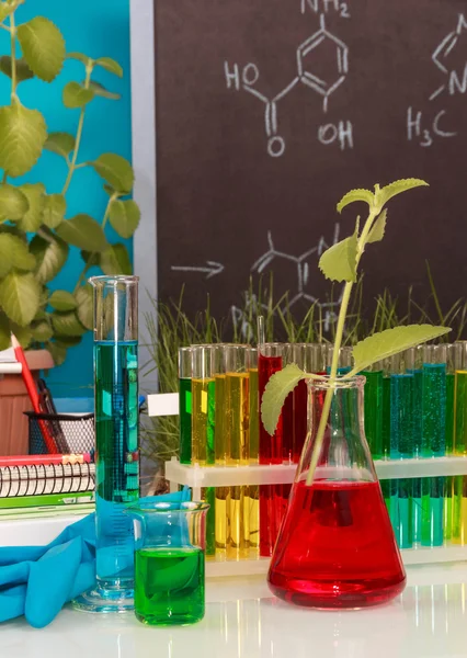 Chemical flasks with  liquid — Stock Photo, Image