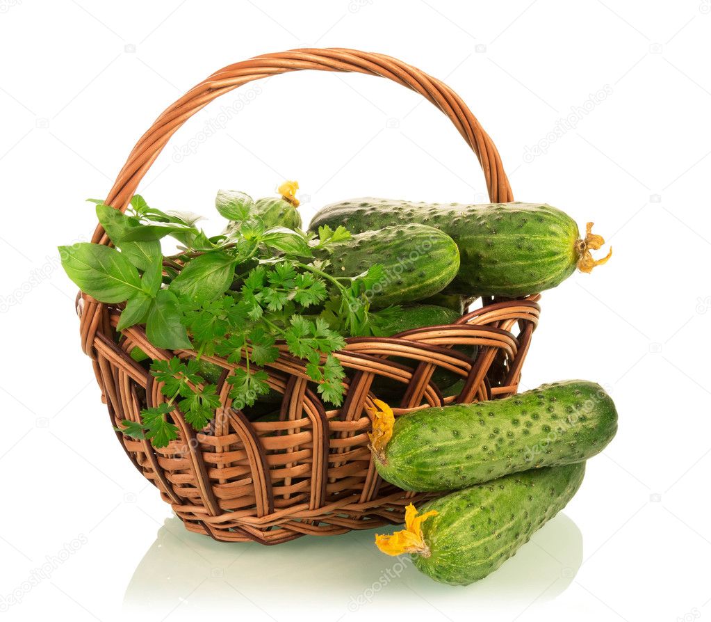 Fresh cucumbers in basket