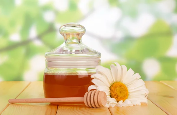 Miel con cazo de miel —  Fotos de Stock