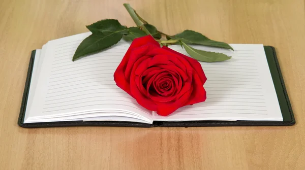 Libro con una rosa roja —  Fotos de Stock