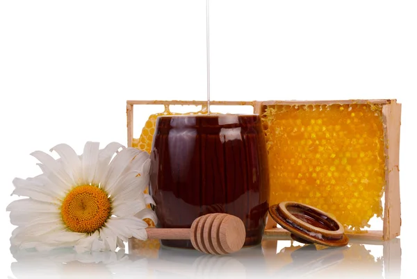 甘い蜂蜜と花 — ストック写真